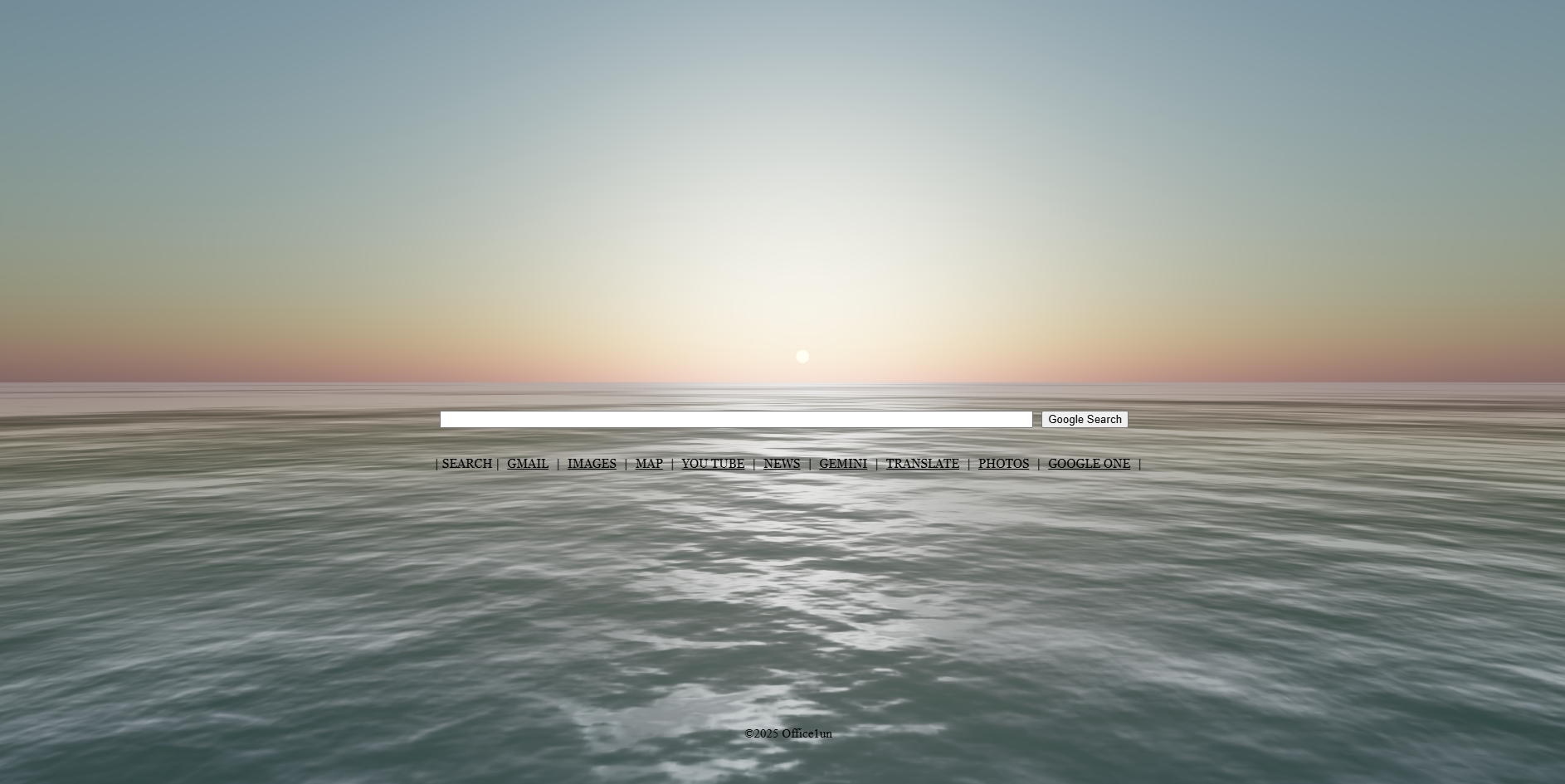 Video Image